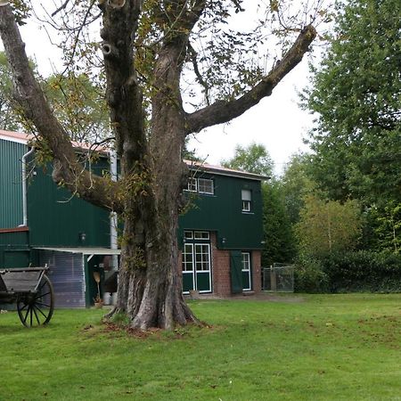 Ferienwohnung Weideglück Osten Exterior foto